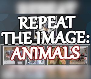 Repeat the image: Animals Steam Ключ