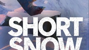 Short Snow PC Steam Ключ