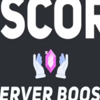 Discord Server - 28x Boost - 1 Month