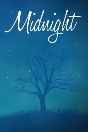 Midnight Steam Ключ