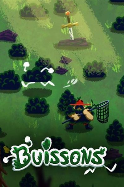 Buissons Steam CD Key