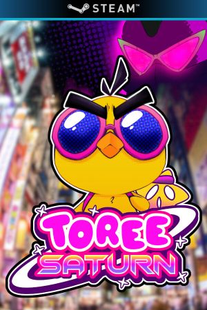 Toree Saturn PC Steam Ключ