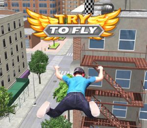 Try to Fly PC Steam Ключ