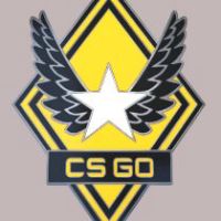 CS:GO - Series 1 - Victory Collectible Pin