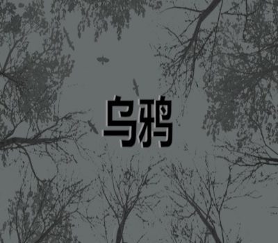 Crows - 乌鸦 PC Steam Ключ