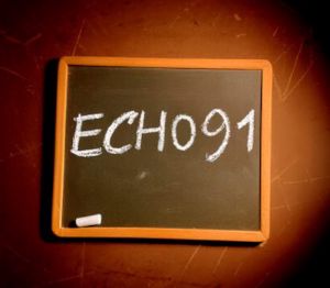 Echo 91 PC Steam Ключ