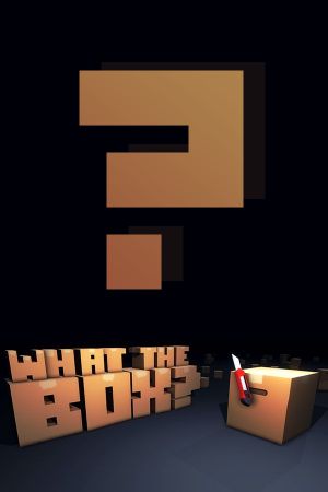 What The Box? Steam Ключ