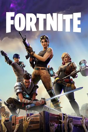 Fortnite: Save the World - Standard Founder's Pack Epic Games Ключ