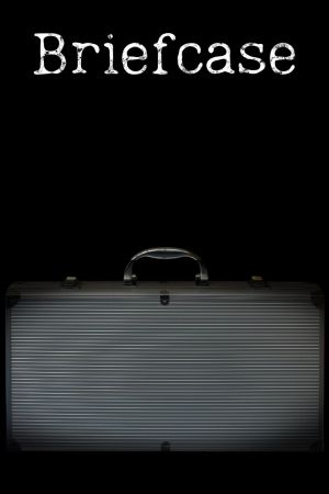 Briefcase PC Steam Ключ
