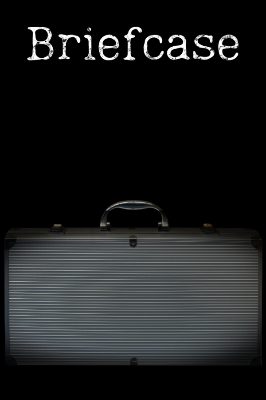 Briefcase PC Steam Ключ