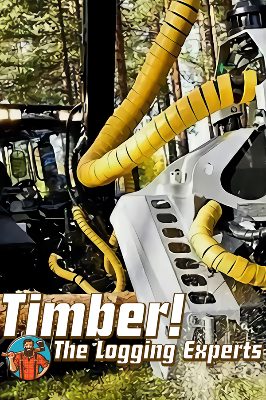 Timber! The Logging Experts Steam Ключ