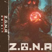 Z.O.N.A: Origin PC Steam Ключ (valid until December 2026)
