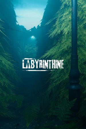 Labyrinthine EU Steam Ключ