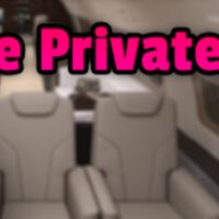 Sex Simulator - The Private Jet Steam Ключ