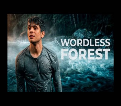Wordless Forest PC Steam CD Key