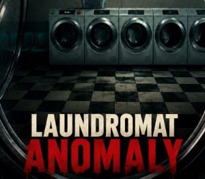 Laundromat Anomaly PC Steam Ключ