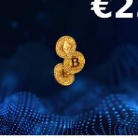 Rewarble Crypto (BTC) EUR 230 Подарочная карта
