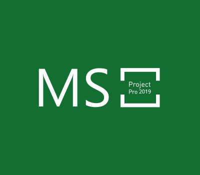 MS Project Professional 2019 Bind Ключ
