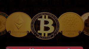 Bitcoin and Cryptocurrency Course – Master Blockchain Basics John Academy Code