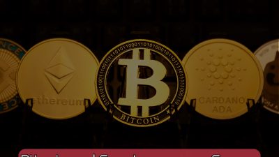 Bitcoin and Cryptocurrency Course – Master Blockchain Basics John Academy Code