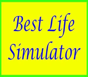 Best Life Simulator Steam Ключ