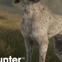theHunter: Call of the Wild - German Shorthaired Pointer DLC PC Steam Ключ