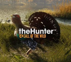 theHunter: Call of the Wild - Revontuli Coast DLC PC Steam Ключ