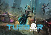 Tuebor: I Will Defend Steam Ключ