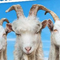 Goat Simulator 3 Steam Ключ
