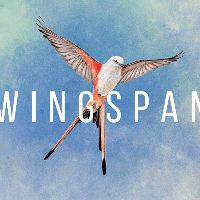 Wingspan Steam Ключ
