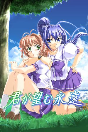 Kimi ga Nozomu Eien Улучшенное издание PC Steam Ключ