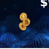 Rewarble Crypto (BTC) USD 90 Подарочная карта