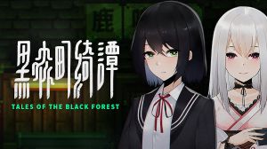 Tales of the Black Forest PC Steam Аккаунт