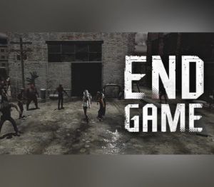 Endgame PC Steam Ключ