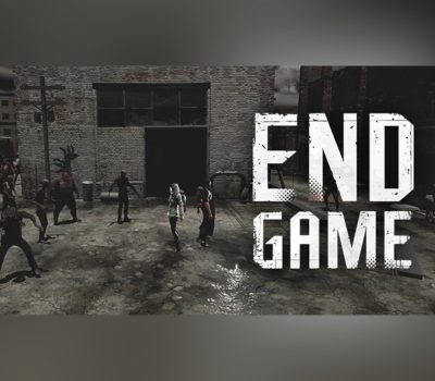 Endgame PC Steam Ключ
