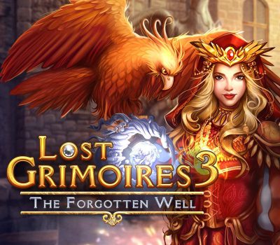 Lost Grimoires 3: The Forgotten Well PC Steam Ключ