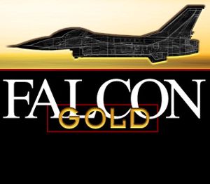 Falcon Gold PC Steam Ключ