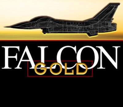 Falcon Gold PC Steam Ключ