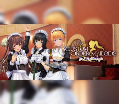 CUSTOM ORDER MAID 3D2 It's a Night Magic EU PC Steam Альтергифт