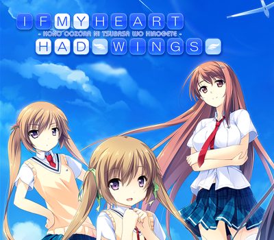 If My Heart Had Wings PC Steam Ключ (valid until February 2027)
