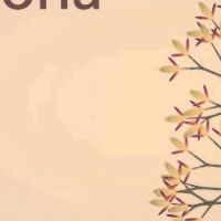 Eufloria HD Steam Ключ