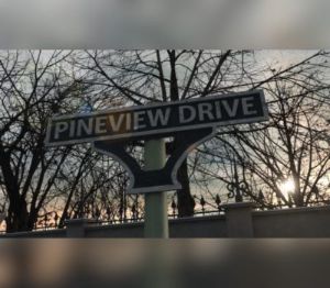 Pineview Drive EU PC Steam Ключ