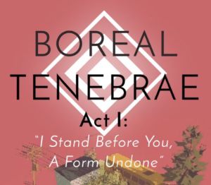 Boreal Tenebrae Act I: “I Stand Before You,  A Form Undone” PC Steam CD Key