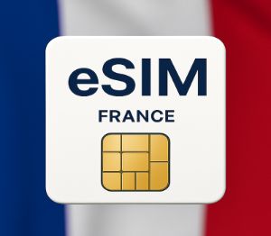 eSIMs 3 GB Data Mobile FR (valid for 30 Days)