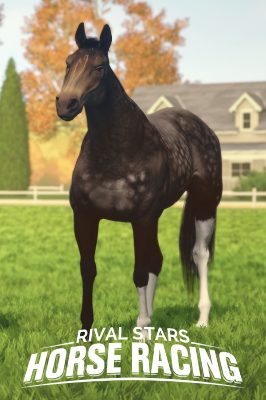 Rival Stars Horse Racing: Desktop издание PC Steam Ключ (valid until June 2027)