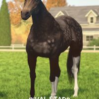 Rival Stars Horse Racing: Desktop издание PC Steam Ключ (valid until June 2027)