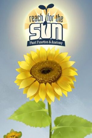 Reach for the Sun Steam Ключ