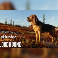 theHunter: Call of the Wild - Bloodhound DLC Steam Альтергифт