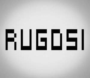 Rugosi Steam Ключ