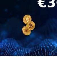 Rewarble Crypto (BTC) EUR 300 Подарочная карта
